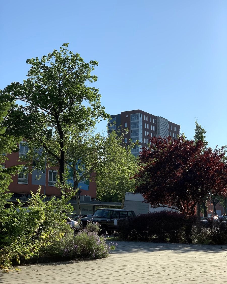 Het Prinses Beatrixplein in Haarlem, met bomen en geparkeerde auto's